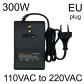 300WEU110Vto220V