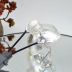 Slide image 2a4de3d6e2224e7c8c82cad1afb2f35c