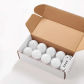 YDG-3105-8 Bulbs