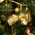 Slide image e1f20723cae04fe9803d524634ef6d42