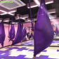 Dark purple