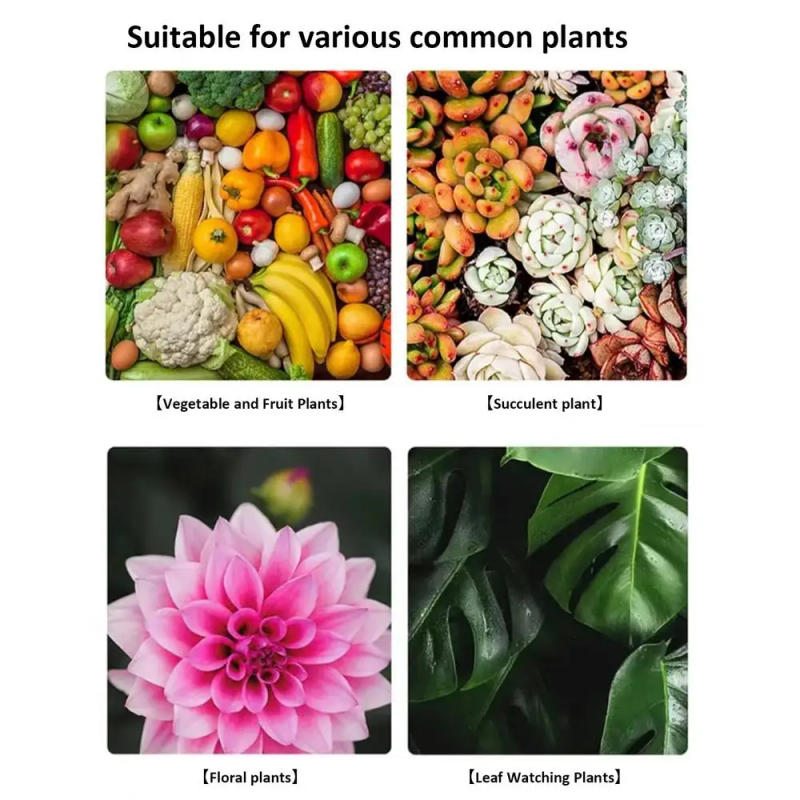 Description Picture 6 of itemPlant Growth Enhancer Universal Potted Plant Stick Plant Growthing Fertilizer For Beginner Expert Gardener For Roses Pothos