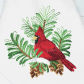 Red Cardinal