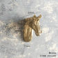Horse head