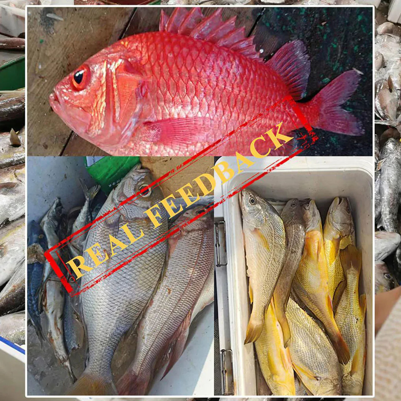 Slide 1050d5053aa347cf90f1a8ead0dd93e6