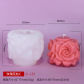 ZL-125 only mold