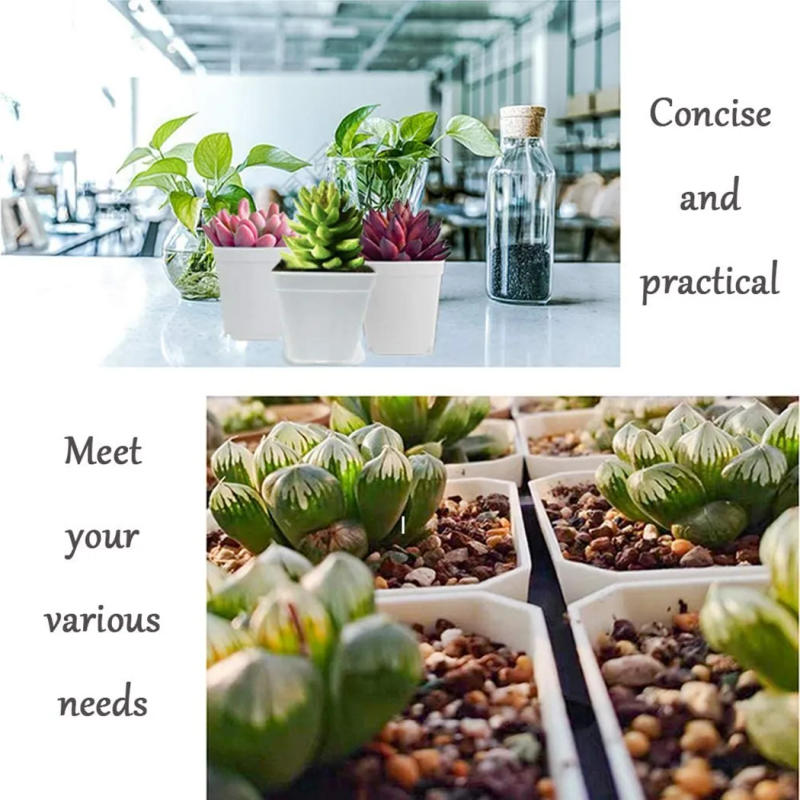 Description Picture 6 of item20pcs Color Mixing Mini Square Plastic Flower Pot With Holes Plant Tray Garden Tools Planting Tools Home Decor 5.5cmx5.5cmx4.5cm