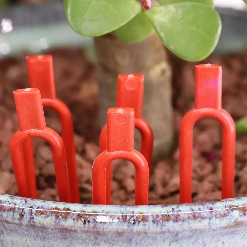 Description Picture 6 of item100PCS plant stem fixator, garden strawberry planting fork, watermelon fixing fixture, clamp, plant bracket