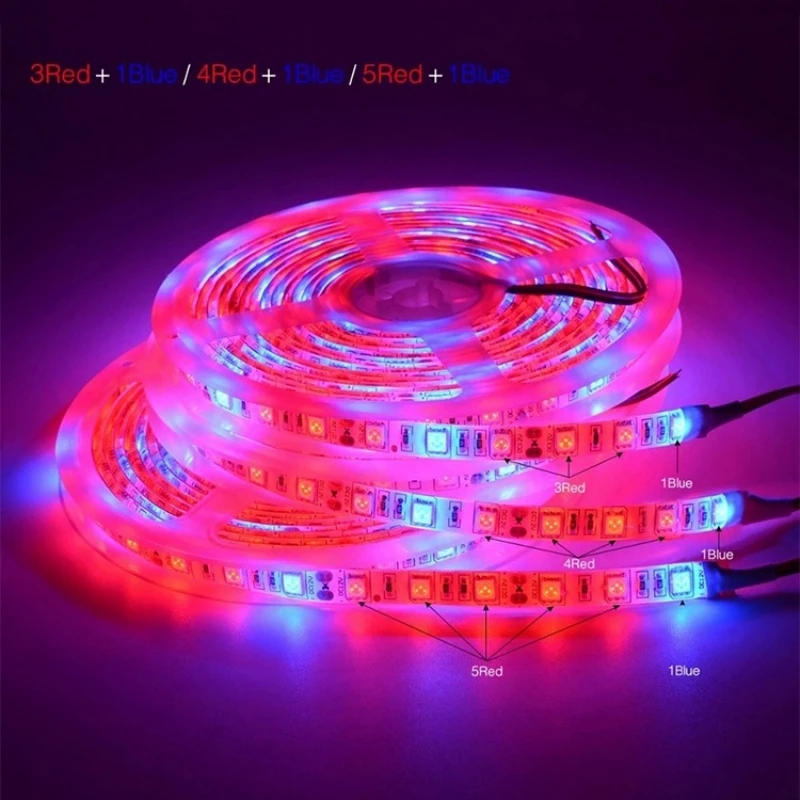 Description Picture 3 of itemLED Grow Light Full Spectrum LED Strip Plant Lamp 5m Growing Light 12V Phyto Lamp Growth Greenhouse Hydroponic Lighting SMD 5050