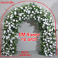 6M flower no arch