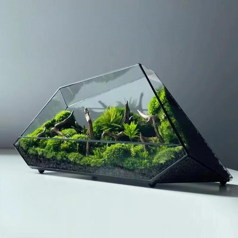 Description Picture 3 of itemMicro Landscape Planter Moss Rainforest Tank Geometric Glass Flower Room Irregular Ecological Vase Succulent Water Plant Vase