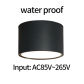 Black 12W(AC85-265V)