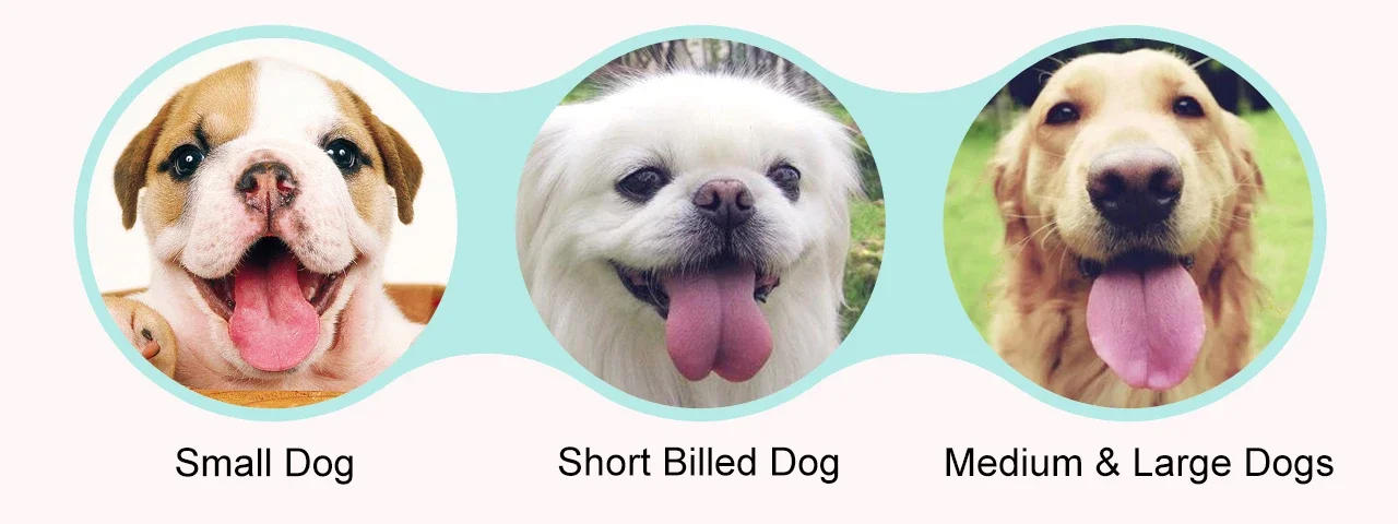 Description Picture 4 of itemPortable Water Bottle Dispenser for Small, Medium and Large Dogs - Outdoor Travel Pet Drinking Feeder