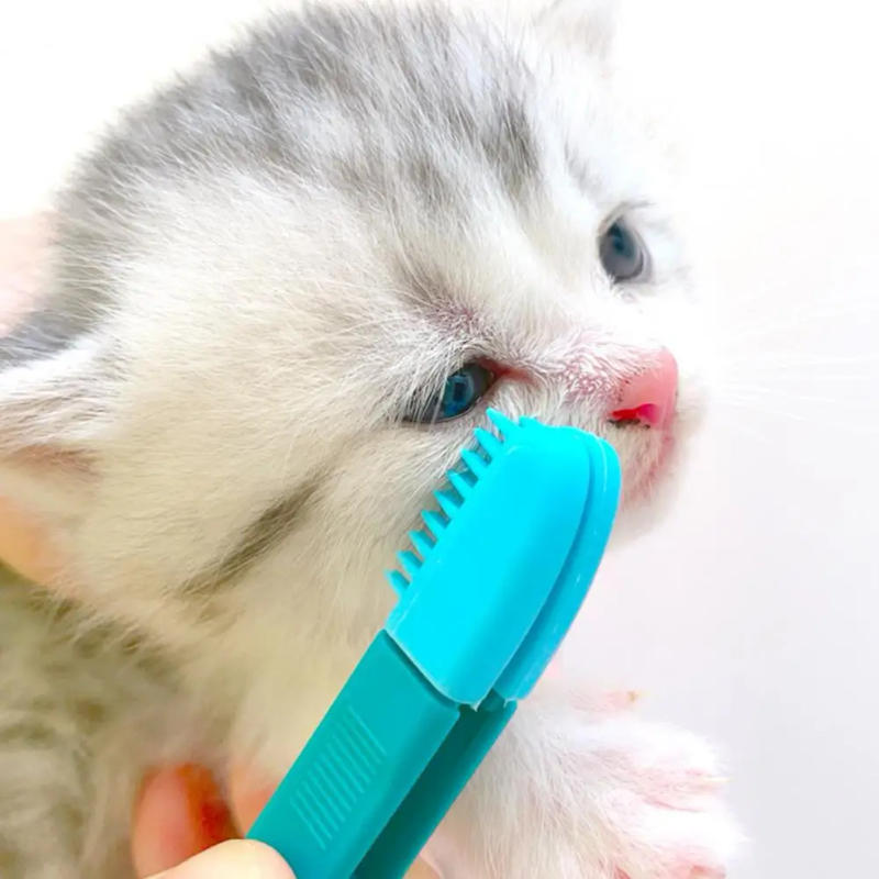 Description Picture 4 of itemEco-Friendly Kitten Eye Rub Handheld Cat Eye Wipe Rub Eyes Poo Brush Cleaning Reusable Buckle Design Pet Comb Tear Stain Brush