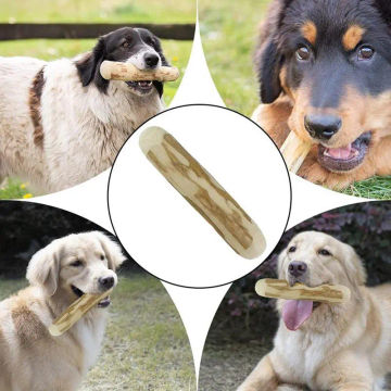 Dog Teething Toys Natural Coffee Wood Safe To Bite Molar Teeth Clean Stick Interesting Cute Durable Bite Puppy Interactive Toys