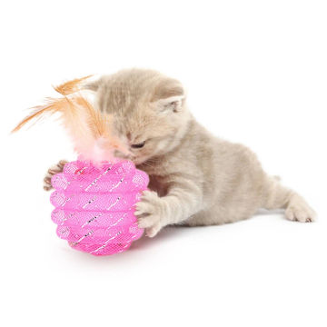 Cute Cat Toys Funny Interactive Ball Cat Training Toys Line Tube Kittens Exercise Rolling Ball with Feathers Pet Cat Toys Pink