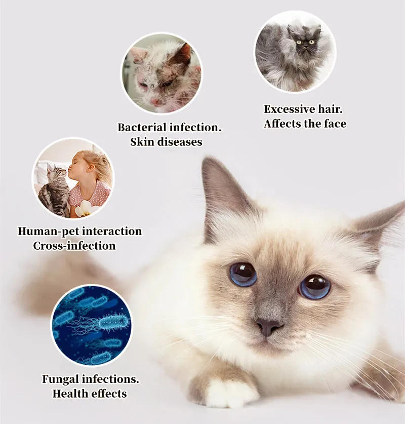 Description Picture 3 of itemCat Comb Dog Hair Remover Brush UVC Sterilization Pet Grooming Slicker Needle Comb Removes Tangled Self Cleaning Pet Supplies