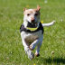 Slide image ac3cd976faba4487b0df0f8ea860d52a