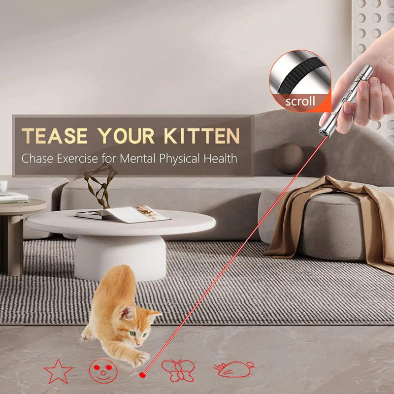 Description Picture 3 of item3 in 1 Cat Playing Pointer Pen USB Cat Torch Toy Red Purple White LED Light Rechargable Cat Laser Toys Flashlight Cat Toy