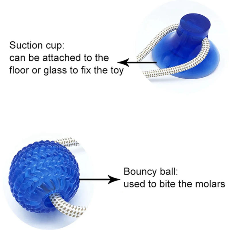 Description Picture 5 of itemMultifunction Pet Molar Bite Dog Toys Rubber Chew Ball Cleaning Teeth Safe Elasticity TPR Soft Puppy Suction Cup Biting Dog Toy