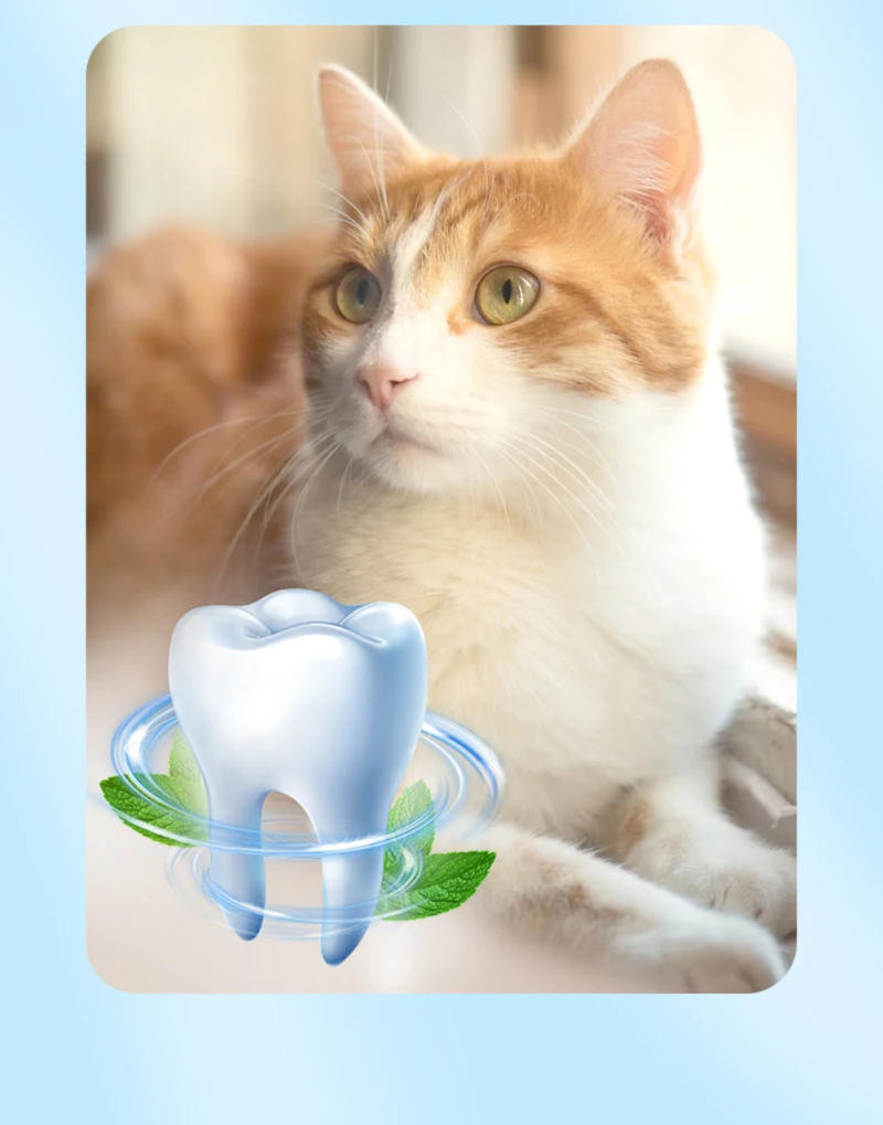 Description Picture 5 of itemRaising Cats Supplies Cat Chews Products For Cats Of All Ages 5g Cat Supplies Raising Cats Tools Cat Mint Leaf Powder Bagged