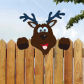 Reindeer