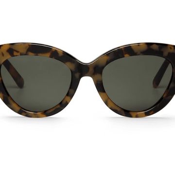 Grace Hc Tortoise with Classical Lenses