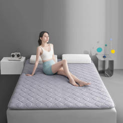 Dropshipping Customizable Size Mattress Soft Mattress Home Tatami Mat Was The Floor Mat Student ZHA12-62999