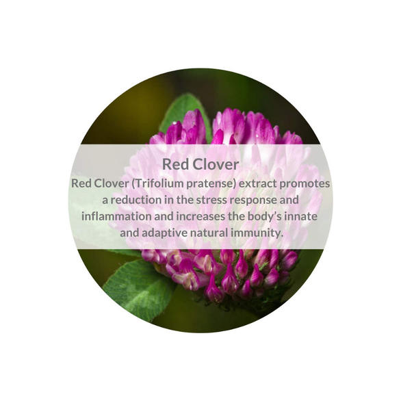 Slide 9366dd6acdeb4d2c8799b822dffb4a56