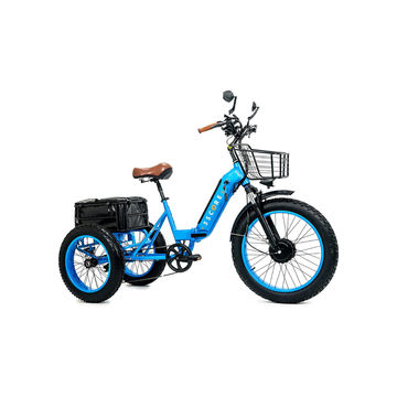 Electric Fat Trike 750W Motor