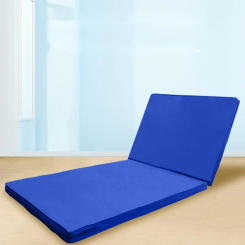 Free Shipping Simple And Modern Thickening Nursing Mattress For The Elderly With High Elastic Coconut Palm Silk Sponge Cushion