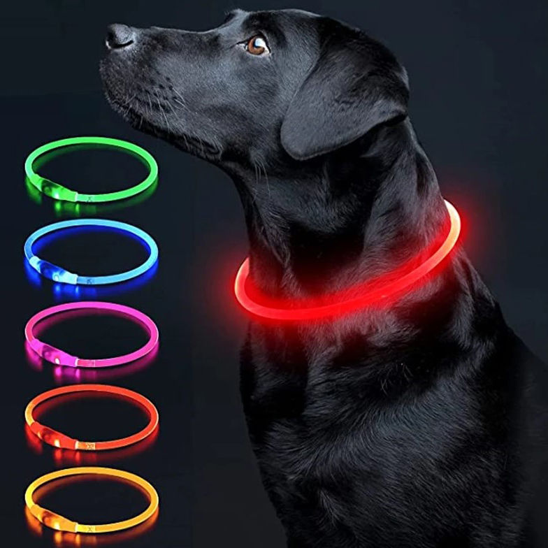 Glowing LED Dog Collar