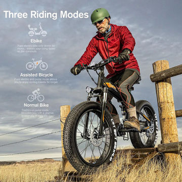 Electric Bike, TotGuard 26" Fat Tire Electric Bike