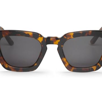 Logan Cheetah Tortoise with Classical Lenses