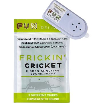 FUN delivery: Frickin' Cricket 