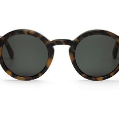 Dalston Hc Tortoise with Classical Lenses