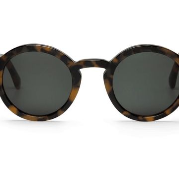 Dalston Hc Tortoise with Classical Lenses