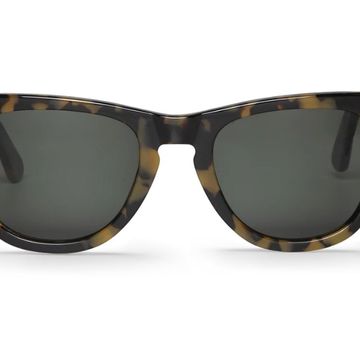 Alameda Hc Tortoise with Classical Lenses