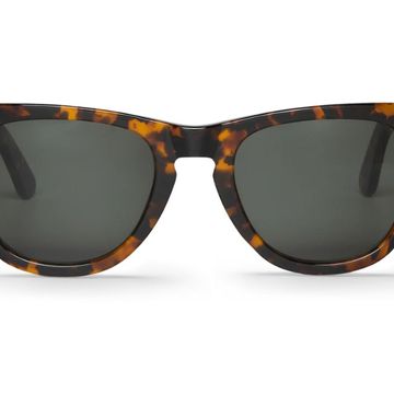 Alameda Cheetah Tortoise with Classical Lenses