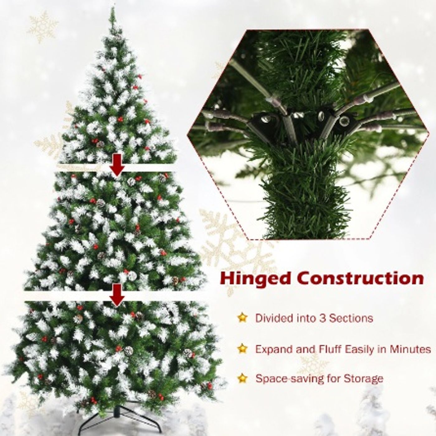 Slide 2434f0587a994ef8b8f02d243a51e206