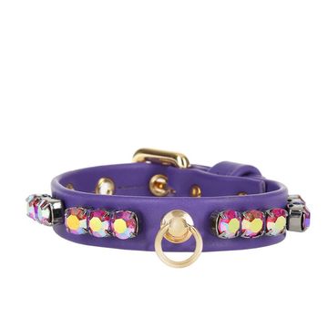 PET COLLAR nappa purple