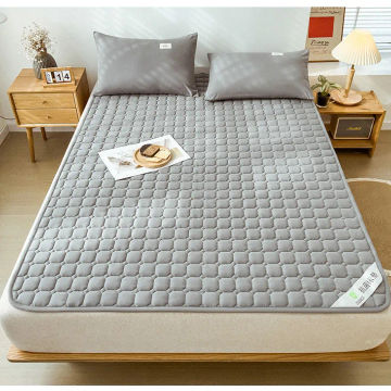 Dropshipping Customizable Size Mattress Soft Mattress Home Tatami Mat Was The Floor Mat Student ZHA11-5999