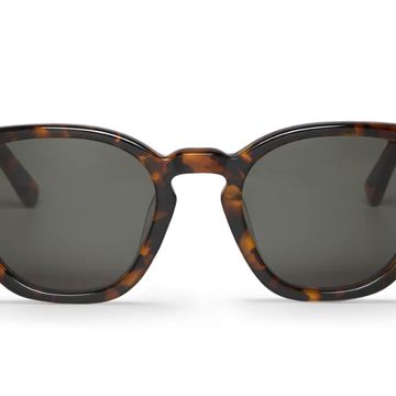 Chelsea Cheetah Tortoise with Classical Lenses