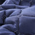 Slide image 7402d90667d34a9694c49efb90e5b8d0