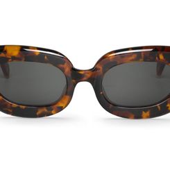 Palermo Cheetah with Classical Lenses