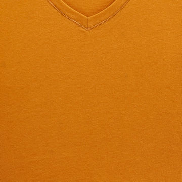 ORGANIC-COTTON V-NECK T-SHIRT 38005