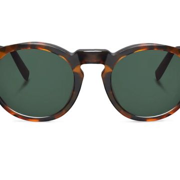 Jordaan Cheetah Tortoise with Classical Lenses