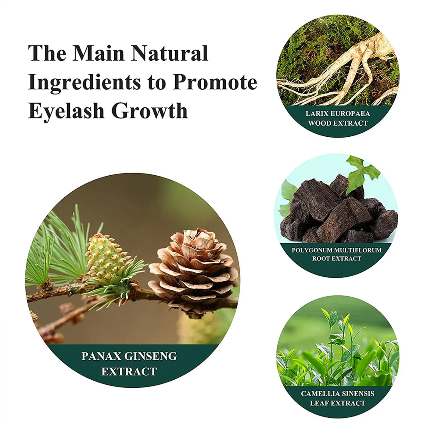 Slide 5a817dce3c9043aabb336ceee3effa9f