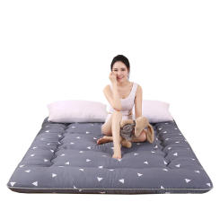 Dropshipping Customizable Size Mattress Soft Mattress Home Tatami Mat Was The Floor Mat Student ZHA03-31999