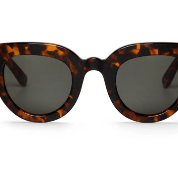 Beech Cheetah Tortoise with Classical Lenses